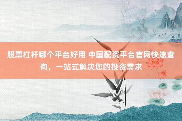 股票杠杆哪个平台好用 中国配资平台官网快速查询，一站式解决您的投资需求