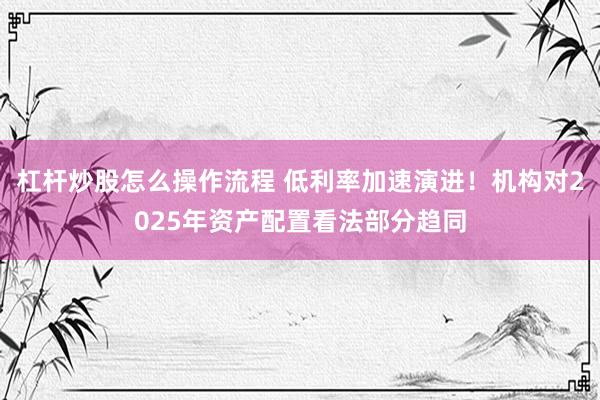 杠杆炒股怎么操作流程 低利率加速演进！机构对2025年资产配置看法部分趋同
