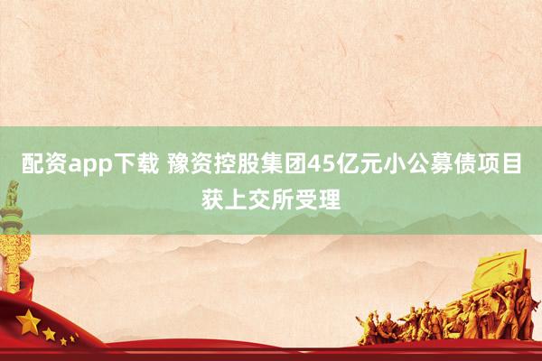 配资app下载 豫资控股集团45亿元小公募债项目获上交所受理