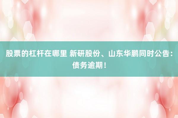 股票的杠杆在哪里 新研股份、山东华鹏同时公告：债务逾期！
