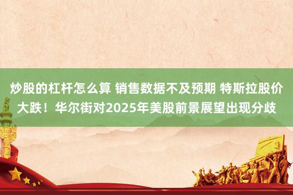 炒股的杠杆怎么算 销售数据不及预期 特斯拉股价大跌！华尔街对2025年美股前景展望出现分歧