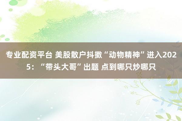 专业配资平台 美股散户抖擞“动物精神”进入2025：“带头大哥”出题 点到哪只炒哪只