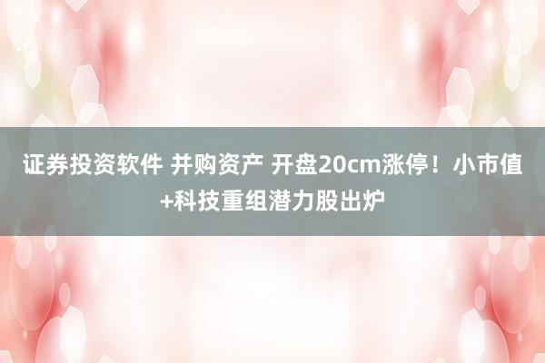 证券投资软件 并购资产 开盘20cm涨停！小市值+科技重组潜力股出炉