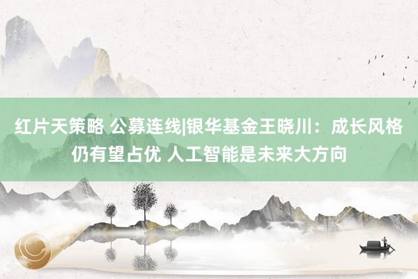 红片天策略 公募连线|银华基金王晓川：成长风格仍有望占优 人工智能是未来大方向