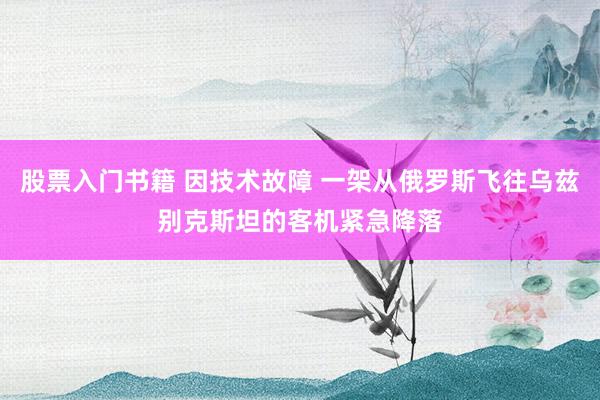 股票入门书籍 因技术故障 一架从俄罗斯飞往乌兹别克斯坦的客机紧急降落