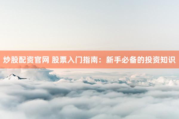 炒股配资官网 股票入门指南：新手必备的投资知识