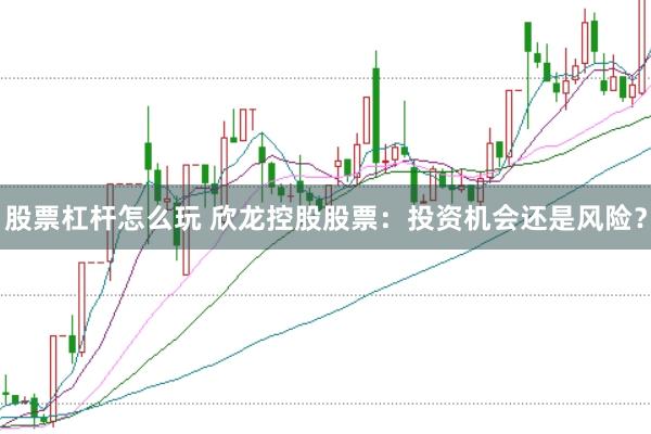 股票杠杆怎么玩 欣龙控股股票：投资机会还是风险？