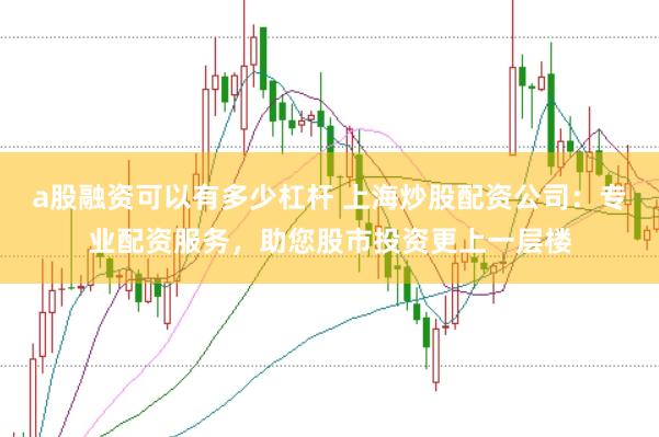 a股融资可以有多少杠杆 上海炒股配资公司：专业配资服务，助您股市投资更上一层楼