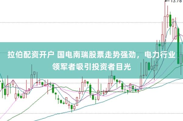 拉伯配资开户 国电南瑞股票走势强劲，电力行业领军者吸引投资者目光