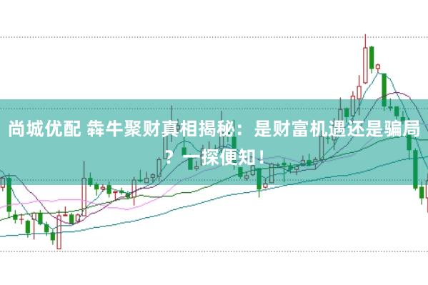 尚城优配 犇牛聚财真相揭秘：是财富机遇还是骗局？一探便知！