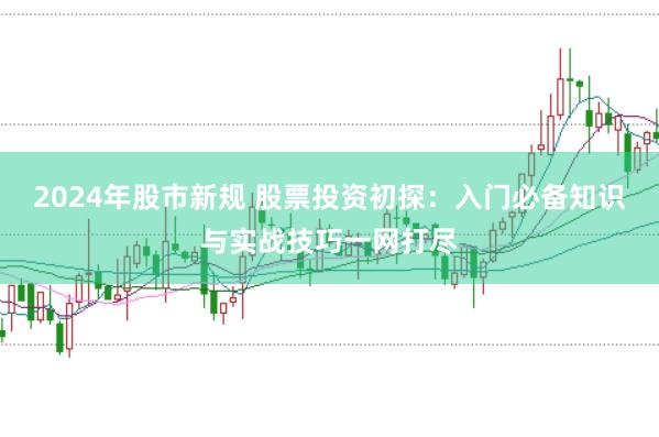 2024年股市新规 股票投资初探：入门必备知识与实战技巧一网打尽