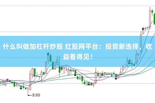 什么叫做加杠杆炒股 红股网平台：投资新选择，收益看得见！