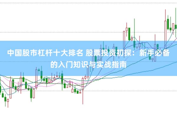 中国股市杠杆十大排名 股票投资初探：新手必备的入门知识与实战指南