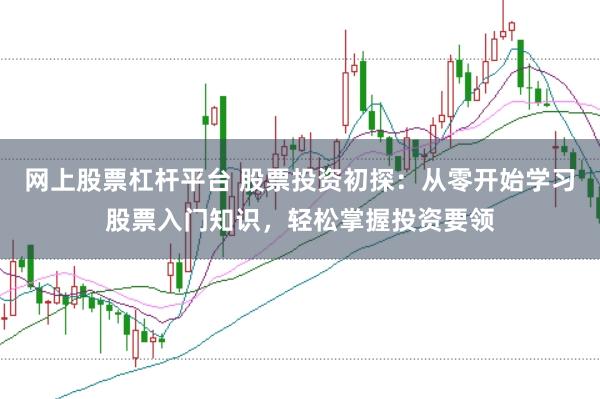 网上股票杠杆平台 股票投资初探：从零开始学习股票入门知识，轻松掌握投资要领