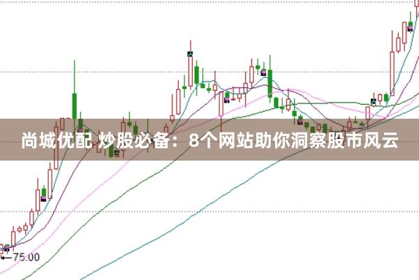尚城优配 炒股必备：8个网站助你洞察股市风云