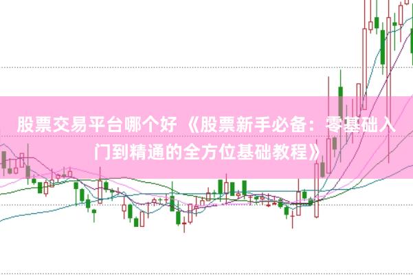 股票交易平台哪个好 《股票新手必备：零基础入门到精通的全方位基础教程》