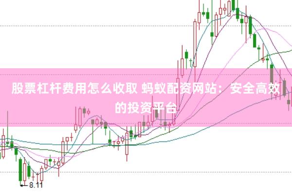 股票杠杆费用怎么收取 蚂蚁配资网站：安全高效的投资平台