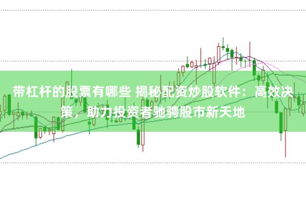 带杠杆的股票有哪些 揭秘配资炒股软件：高效决策，助力投资者驰骋股市新天地
