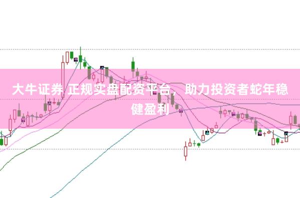 大牛证券 正规实盘配资平台，助力投资者蛇年稳健盈利