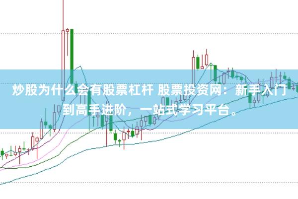 炒股为什么会有股票杠杆 股票投资网：新手入门到高手进阶，一站式学习平台。