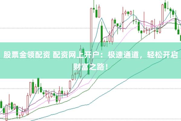 股票金领配资 配资网上开户：极速通道，轻松开启财富之路！