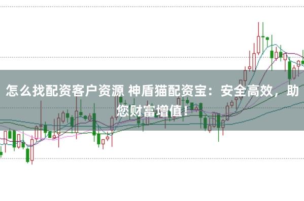 怎么找配资客户资源 神盾猫配资宝：安全高效，助您财富增值！