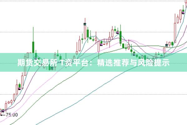 期货交易所 T资平台：精选推荐与风险提示