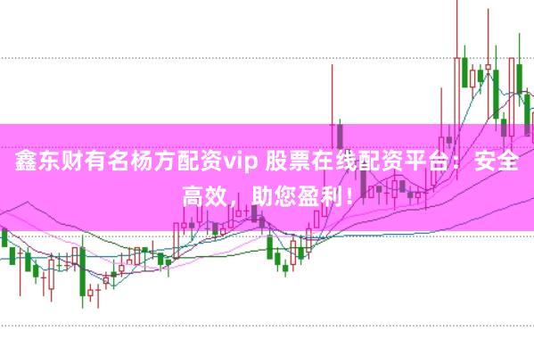 鑫东财有名杨方配资vip 股票在线配资平台：安全高效，助您盈利！