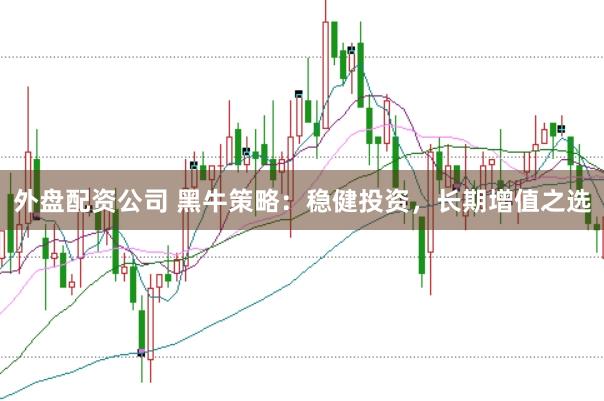 外盘配资公司 黑牛策略：稳健投资，长期增值之选
