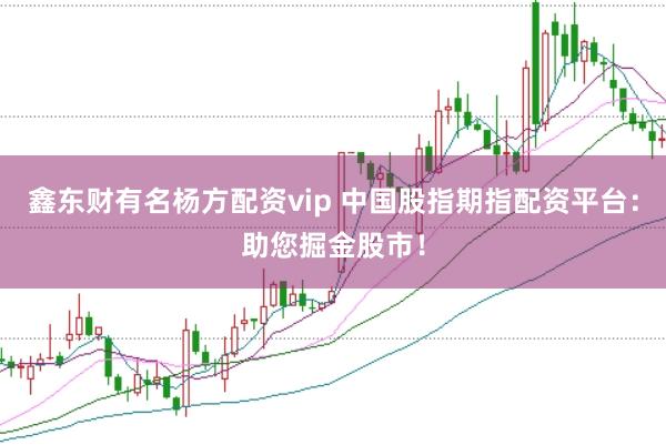 鑫东财有名杨方配资vip 中国股指期指配资平台：助您掘金股市！