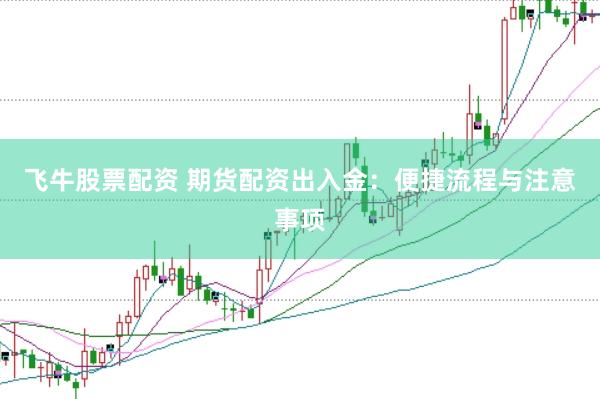 飞牛股票配资 期货配资出入金：便捷流程与注意事项
