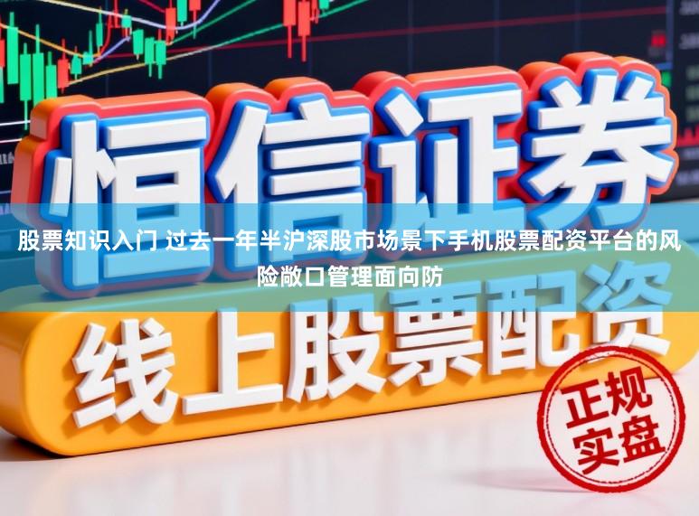 股票知识入门 过去一年半沪深股市场景下手机股票配资平台的风险敞口管理面向防